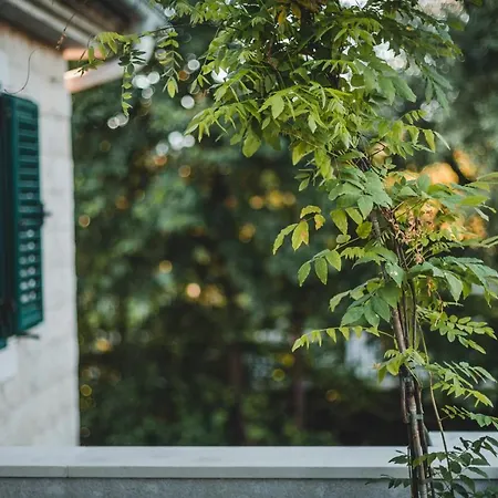 Casa Ra Guest house Podgorica