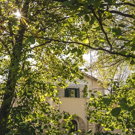Casa Ra Гостьовий будинок Подгориця